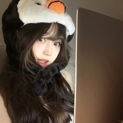 托梅斯的导盲犬