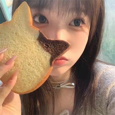 双子阴谋